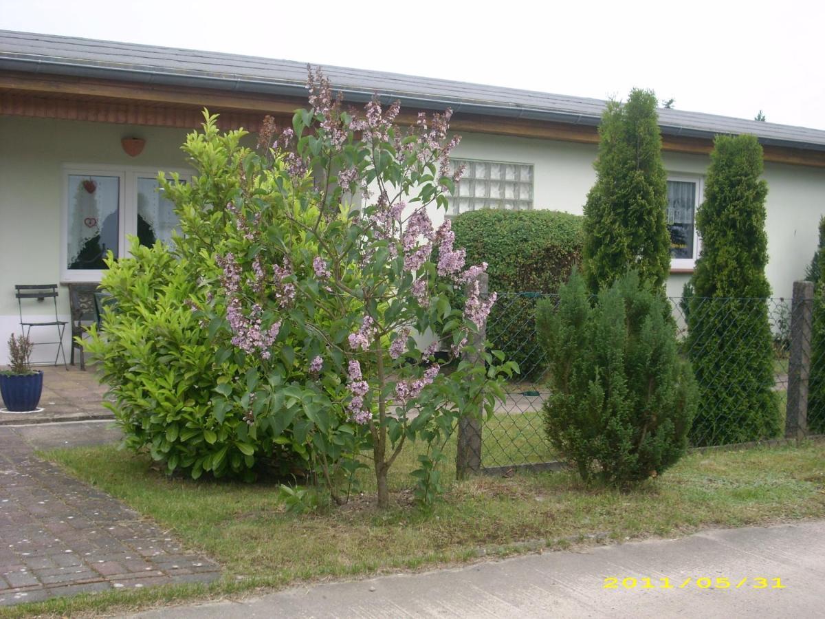 Ferienhaus Am Neuklostersee Exterior foto